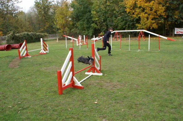 agility 2011-10-30